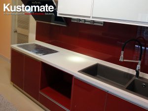 Wet Kitchen Cabinet