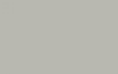 Hi-Macs Solid Surface Grey – S05