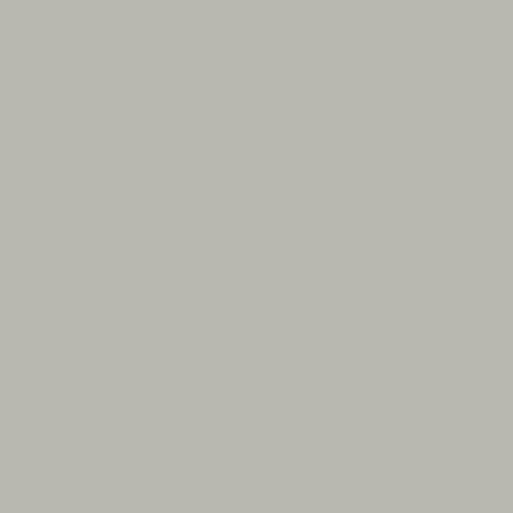 Hi-Macs Solid Surface Grey - S05