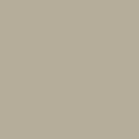 Hi-Macs Solid Surface Babylon Beige – S102