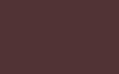 Hi-Macs Solid Surface Carmenere – S110