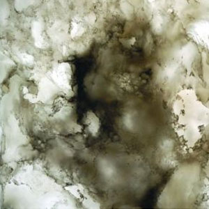 Okite Quartz Surfaces - Bianco White 9004