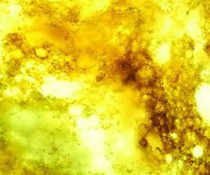 Okite Quartz Surfaces – Giallo Yellow 9002