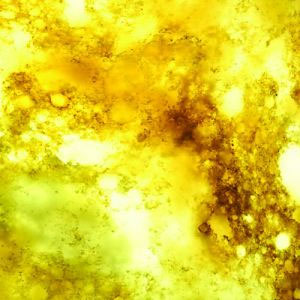 Okite Quartz Surfaces - Giallo Yellow 9002